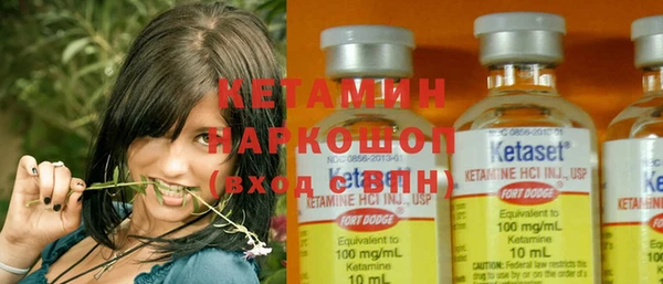 прущие грибы Инсар
