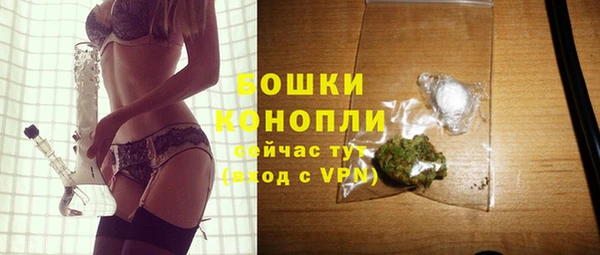 прущие грибы Инсар