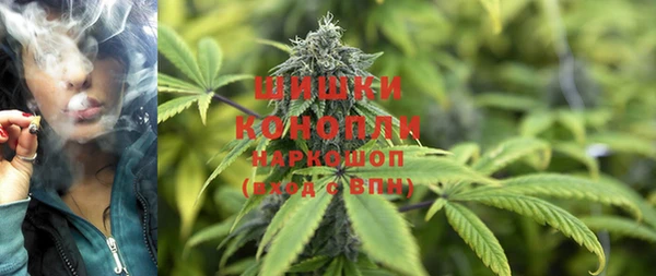 прущие грибы Инсар